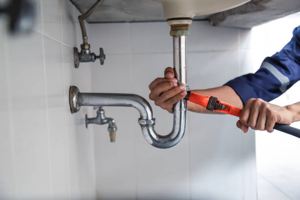 Best Clogged Drain Plumber  in Wrightstown, WI